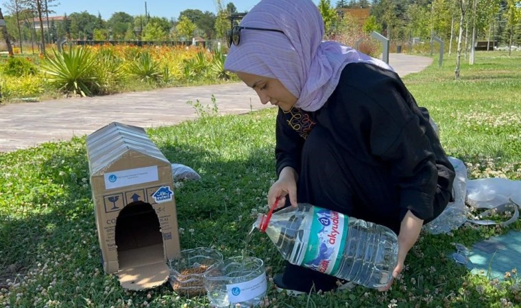 Eskişehir Ülkü Ocaklarından sokak hayvanlarına mama ve su desteği