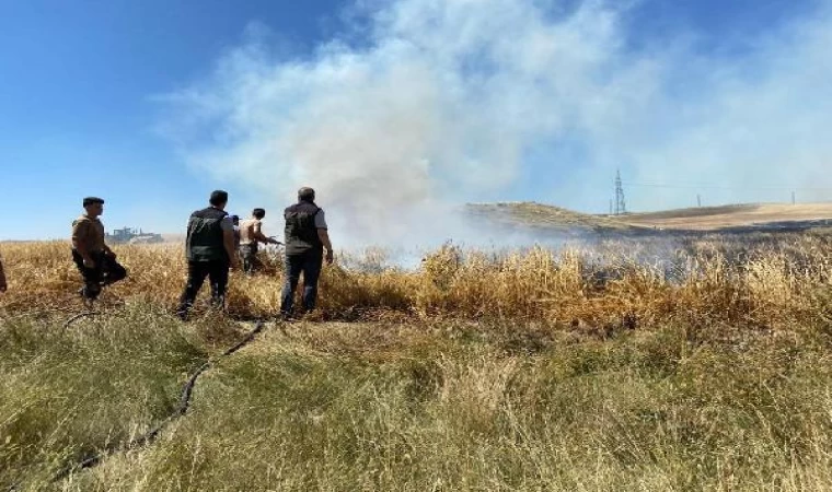 Eskişehir’de 30 dönüm arpa tarlası yandı