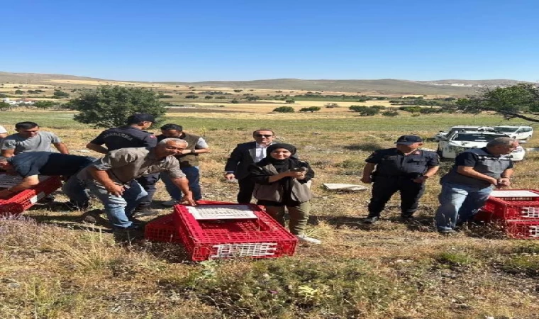 Eskişehir’de kınalı keklikler doğayla buluştu