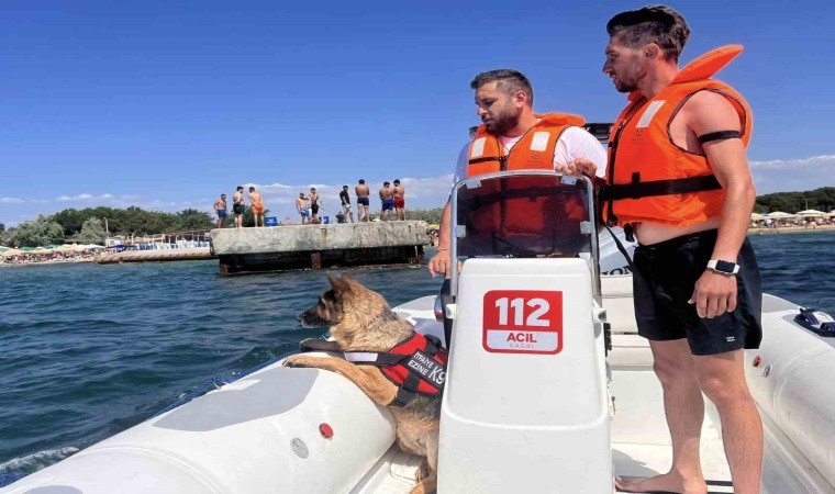 Ezinede boğulma vakalarına karşı K9 köpeği Leydi ve dalgıçlar iş başında