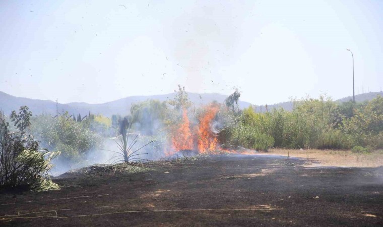 Fethiyede otluk ve sazlık alanda çıkan yangın söndürüldü