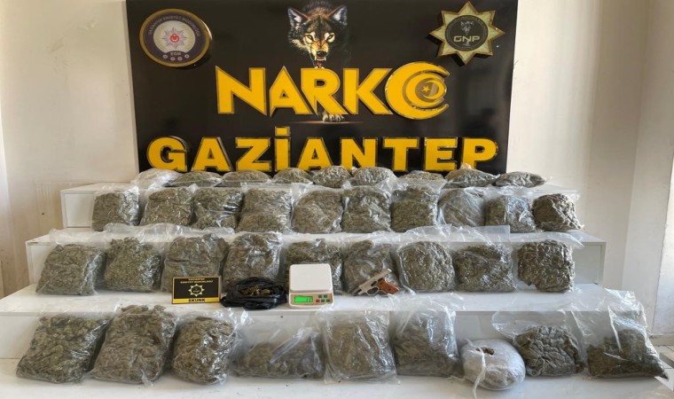 Gaziantepte 18 kilo skunk ele geçirildi: 1 gözaltı