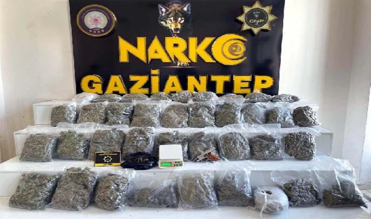 Gaziantep’te 18,5 kilo skunk ele geçirildi