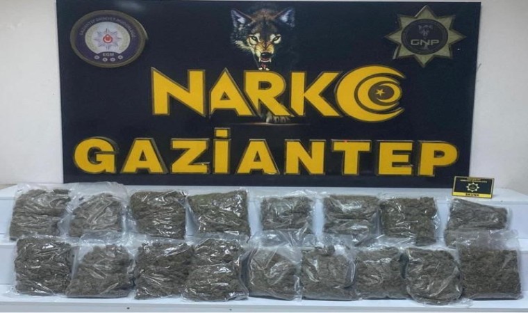 Gaziantepte 8 kilo 550 gram skunk ele geçirildi: 2 gözaltı