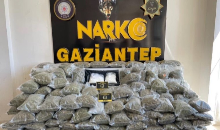 Gaziantepte 80 kilo skunk ele geçirildi