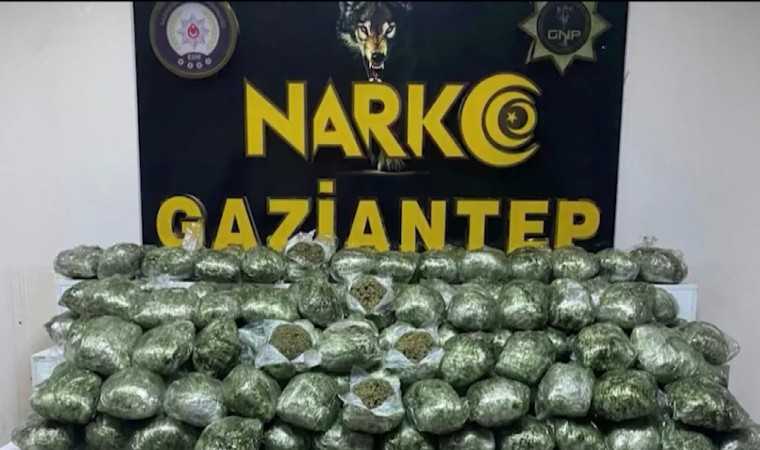 Gaziantepte 80 kilo skunk ele geçirildi