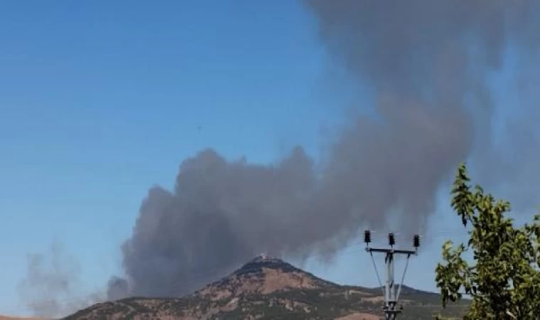 Gaziantep’te orman yangını