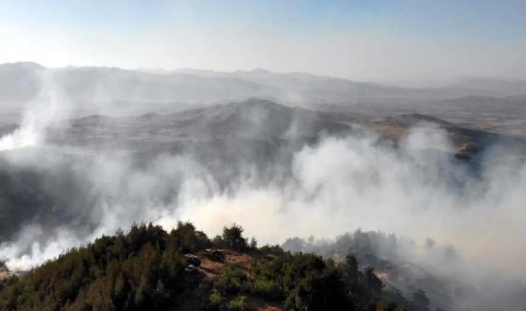 Gaziantep’te orman yangını (3)