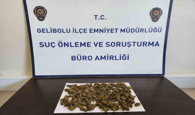 Geliboluda sırt çantasından 90 gram skunk çıktı: 2 gözaltı