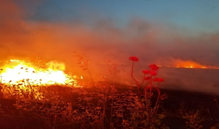 Gönende anız yangını, 60 dönüm yer kül oldu