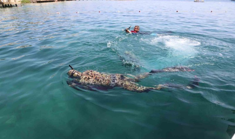 Gündoğanda deniz dibi temizliği