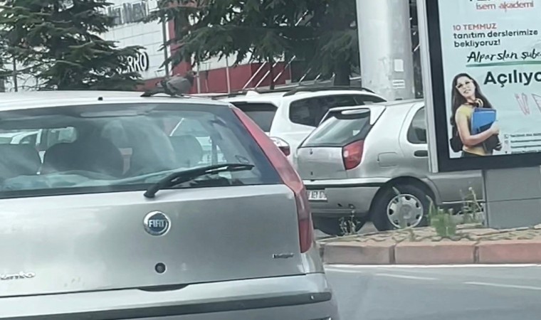 Güvercin otomobilin tavanına kondu, şehir turu attı