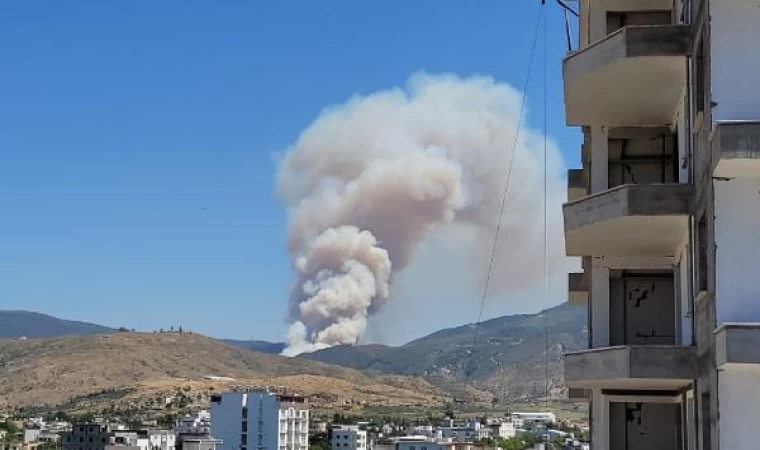 Hatay’da orman yangını (1)