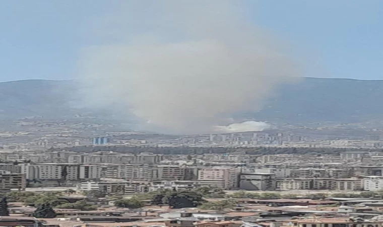 Hatay’da orman yangını