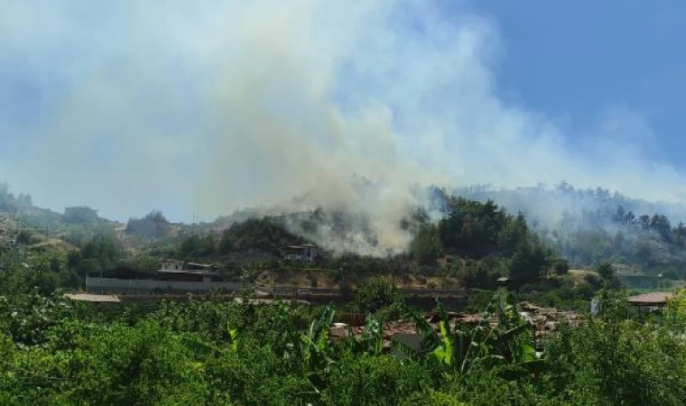 Hatay’da orman yangını (2)