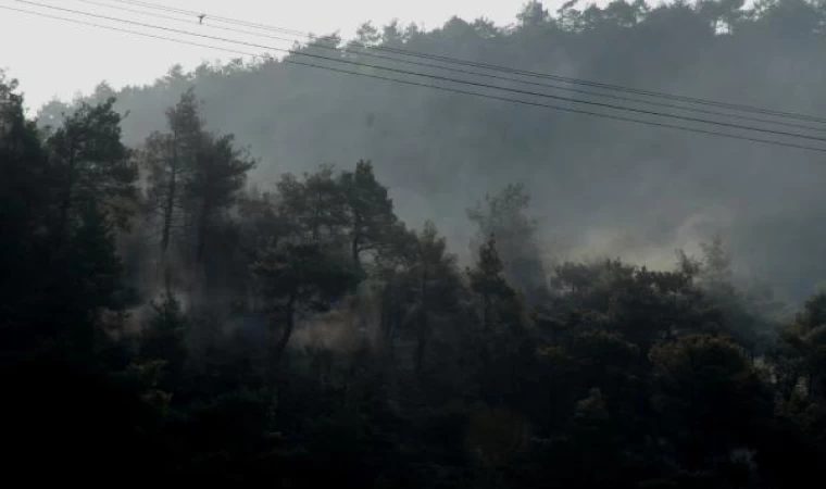 Hatay’da orman yangını; 4 saatte kontrol altında / Ek fotoğraf