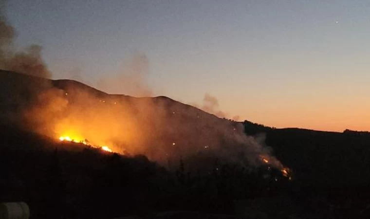 Hatay’da orman yangını (7)