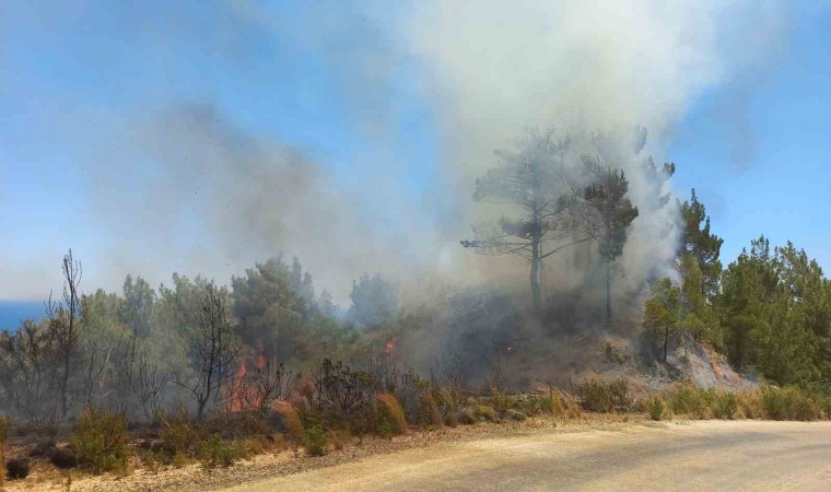 Hatayda orman yangını, hava ve karadan müdahale ile kontrol altına aldı