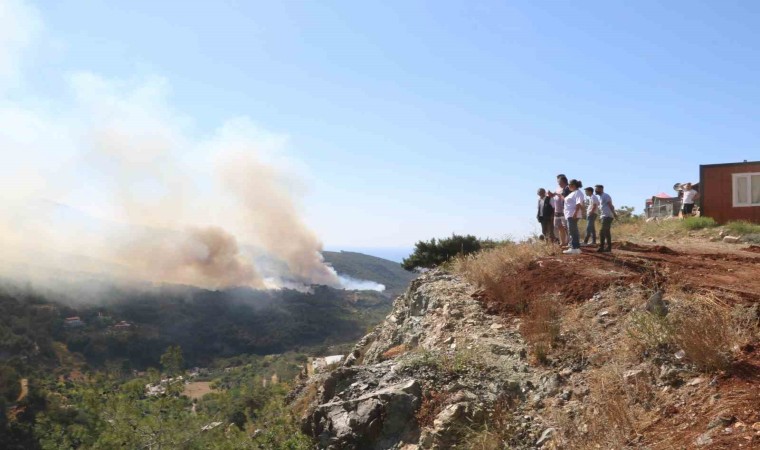 Hataydaki orman yangınına müdahale sürüyor