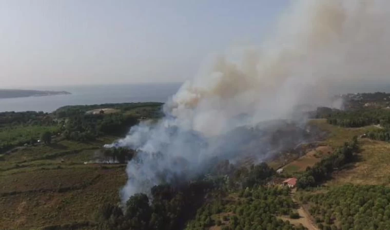 Havadan fotoğraflar // Beykoz’da orman yangını