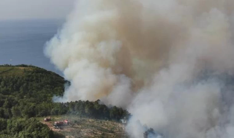 Havadan fotoğraflarla//Beykoz’da iki ayrı noktada orman yangını