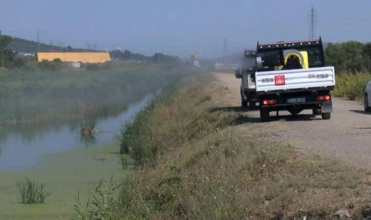 İBB ekipleri sazlıdere’de sivrisineklere karşı ilaçlama yaptı