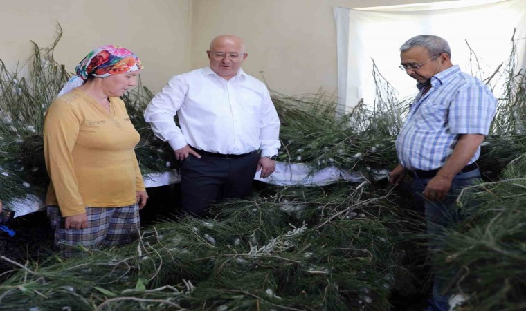 İpekböcekçiliği, kadın üreticilerin ellerinde yeniden canlandı