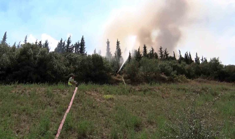 İstanbulda ağaçlık alanda yangın paniği: Alevlere yangın söndürme helikopteri de müdahale etti