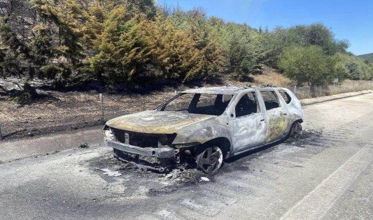 İzmir Güzelbahçe’de orman yangını (3)