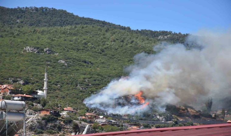 İzmir Kemalpaşada orman yangını