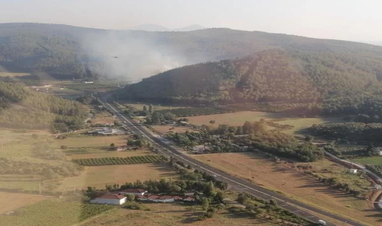 İzmir Selçuk’ta orman yangını