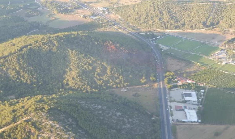 İzmir Selçuk’ta orman yangını (2)