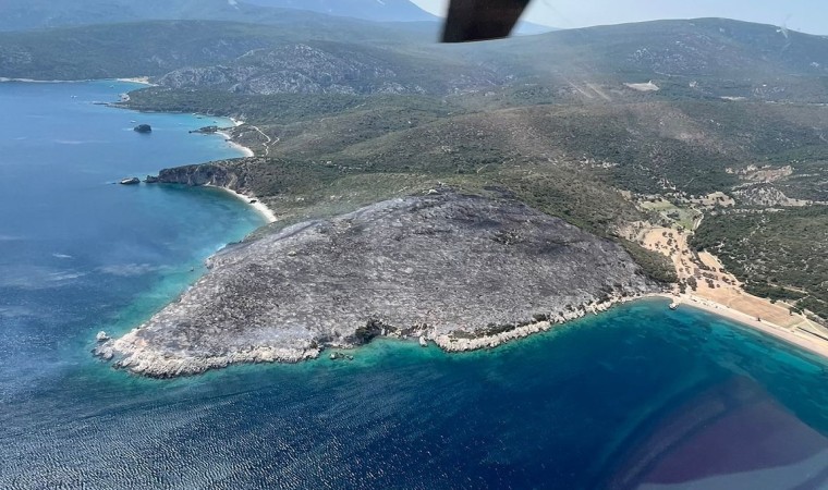 İzmirde makilik alanda çıkan yangın kontrol altında