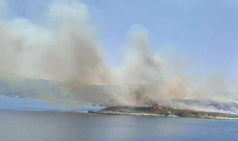 İzmir’de makilik yangını