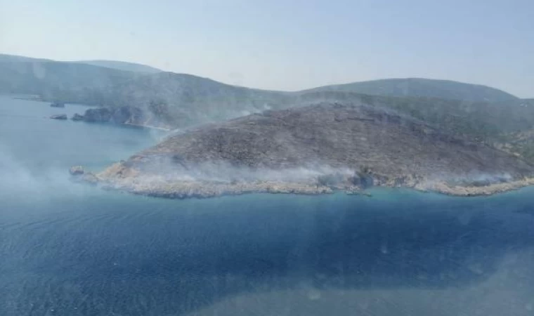 İzmir’de makilik yangını (2)