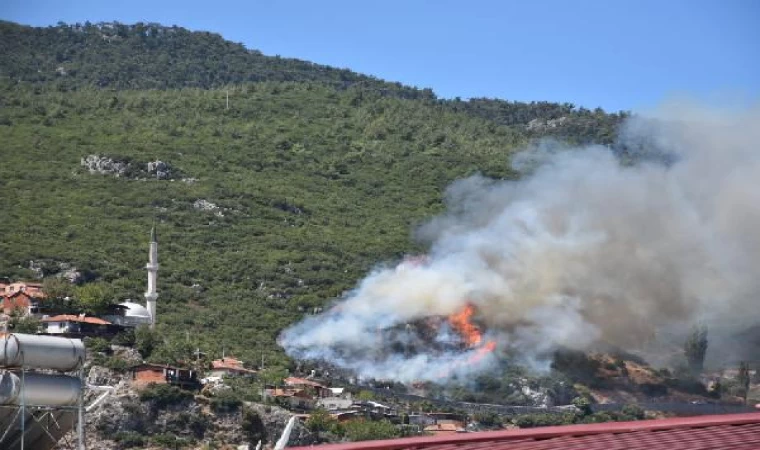 İzmir’de orman yangını