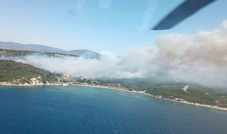 İzmirdeki orman yangınıyla ilgili gözaltına alınan 2 kişi serbest