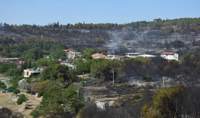 İzmir’in 2 ilçesinde orman yangını (2)