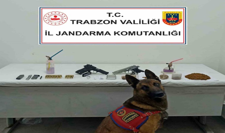 Jandarma Narkotik timlerinden Duman imzalı operasyon