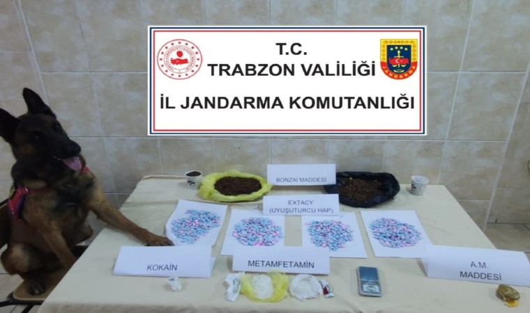 Jandarma Narkotik timlerinin Dumanı göz açtırmıyor