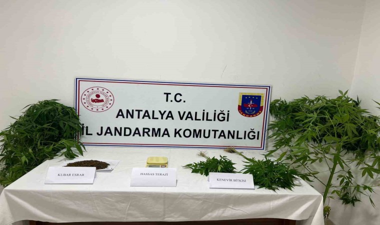 Jandarma uyuşturucu tacirlerine göz açtırmıyor