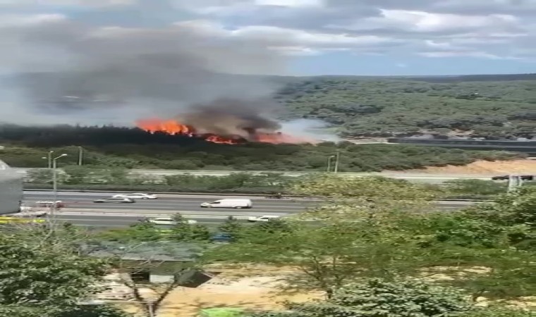 Kağıthane Hamidiye Mahallesinde ormanlık alanda yangın çıktı. Olay yerine çok sayıda itfaiye ekibi sevk edildi.