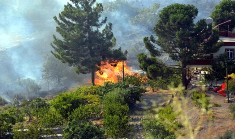 Kahramanmaraş’ta orman yangını / Ek fotoğraf