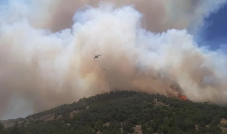 Kahramanmaraş’ta orman yangını