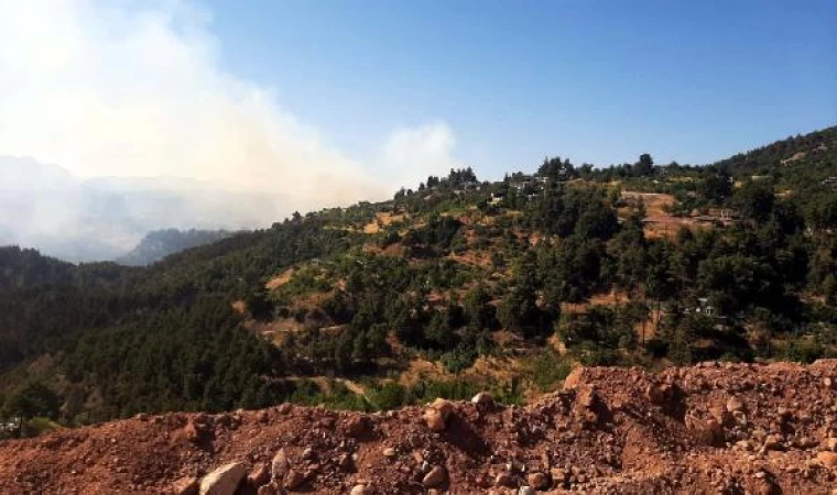 Kahramanmaraş’ta orman yangını