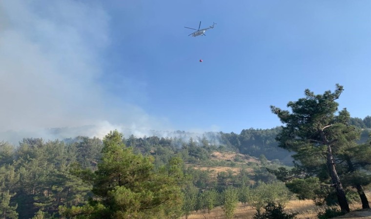 Kahramanmaraşta orman yangınına müdahale sürüyor