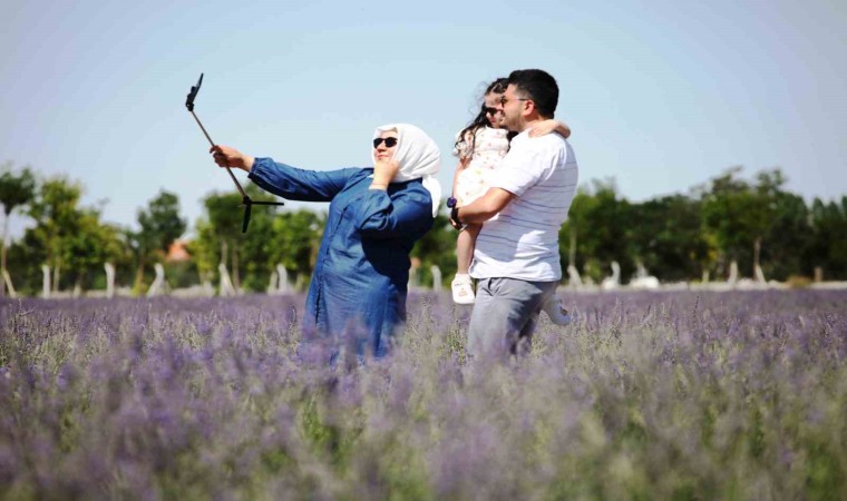 Karatay Lavanta Bahçesi kapılarını ziyaretçilerine açtı