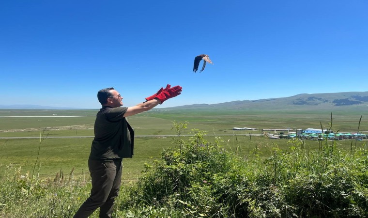 Karsta tedavileri tamamlanan kerkenezler doğaya bırakıldı