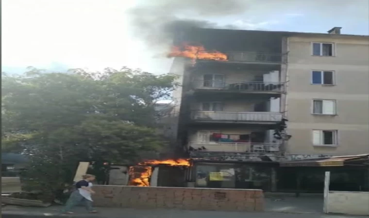 Kartal’da kömürlükteki yangında 4 yavru kedi yaralı olarak kurtarıldı