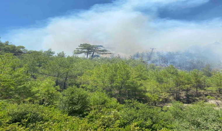 Kaştaki orman yangını havadan ve karadan müdahaleyle kontrol altına alındı